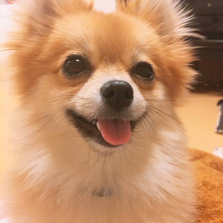 D2fd2949 be3a 464a a352 00c215b2cdfe 1523537524747