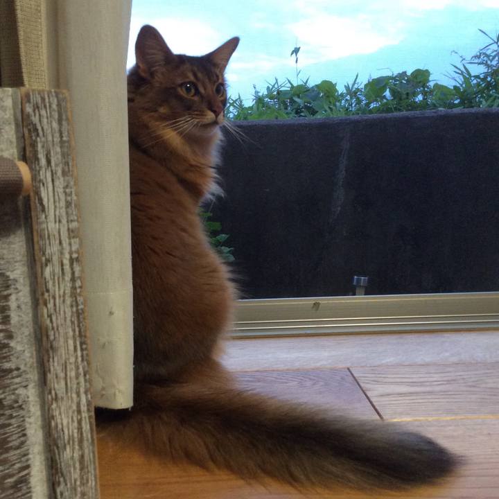 D2fd2c48 8550 4991 8f4e de801a3c26d0 1624444339907