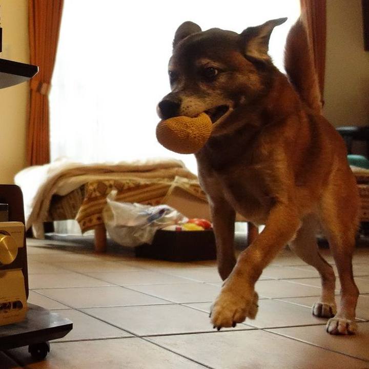 D2fd2e91 2961 4576 a882 44af4730f7a6 1513387950217