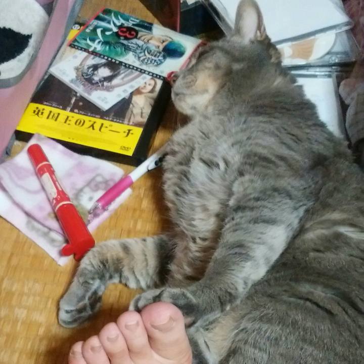 D2fd2f63 e7ec 4f76 8b89 d0deb21a2d54 1588332024669