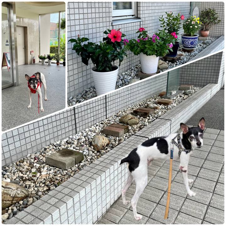 D2fd4315 afef 4344 aa1d 6b04319115f7 1691989861193