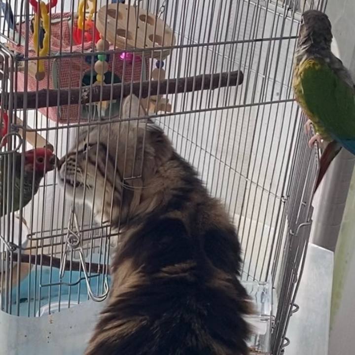 D2fd9e0b e64f 43ca 8f75 71428d0f6a16 1588219467720