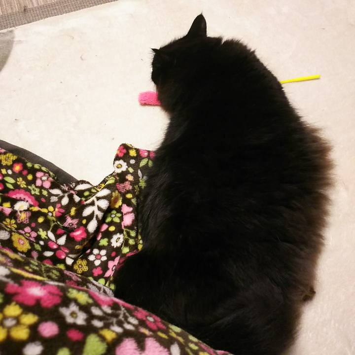 D2fdc27b 94c7 4cdf 9341 047091cf004d 1543317773458