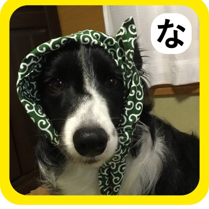 D2fe2f43 99f4 495e 9830 2d55feda0d70 1514791469693