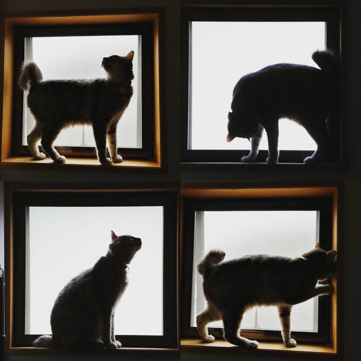 D2fe40f6 b58a 4ba3 92ac 79dec09ca4ce 1528500567942