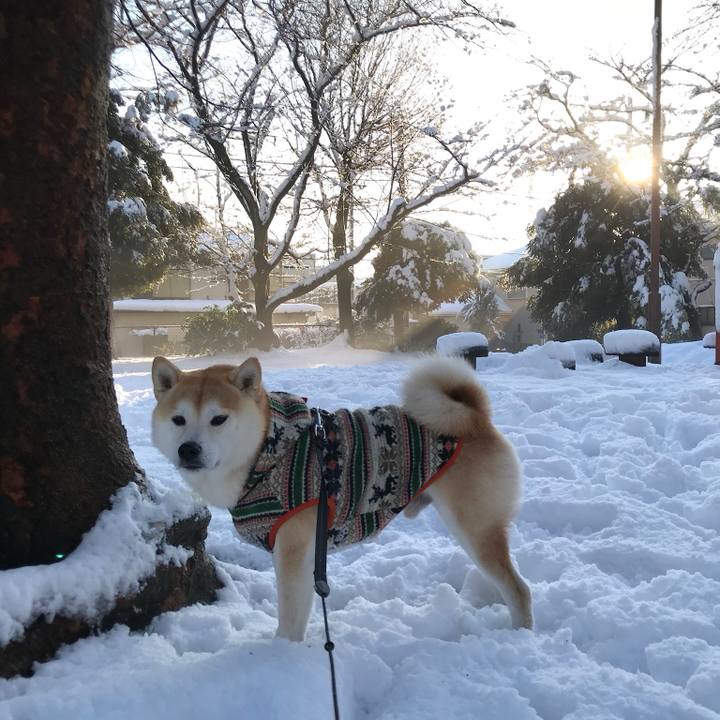 D2fe6d08 7cb2 4409 b9c6 773017838ebc 1770516108078