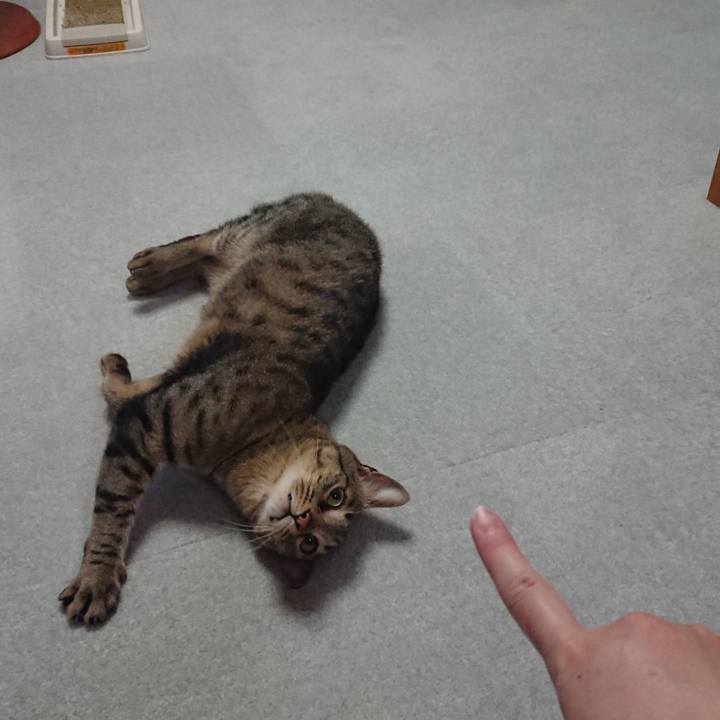 D2fe96a9 2cac 4a49 880f 1834dc564aa9 1525254357398