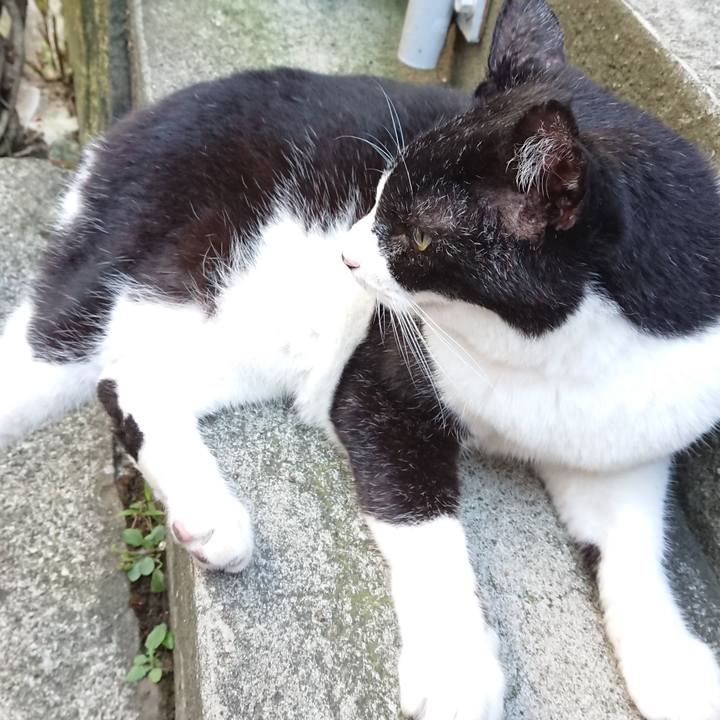 D2fea068 fa8b 46f6 a0d4 0adc49206f69 1694928415959