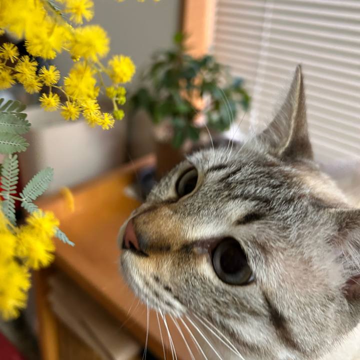 D2fef044 ef22 448f a80e 61f18f4d2444 1772927053355