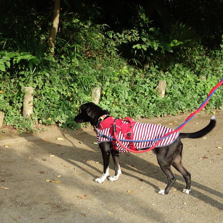 D2ff0e72 ad7a 415f b15c 695e6a3231fc 1597707977813