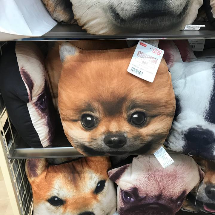 D2ff1b39 1010 4388 978f 131195ebb29b 1533555184836