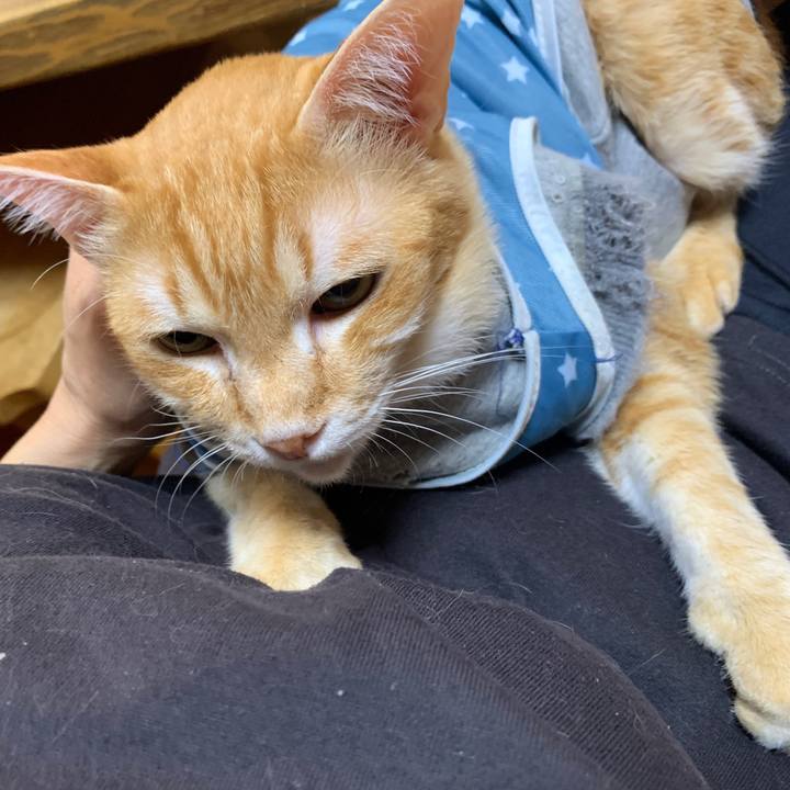 D2ff318c c6f2 4c5b 9b4a 5fcc2a300d52 1651441212878