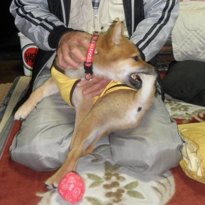 D2ff35db de82 4606 99d1 3975cc56e348 1665355569767