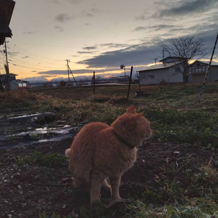 D2ff3f1c 8eaf 4a18 aa48 788607af9f74 1668635199089