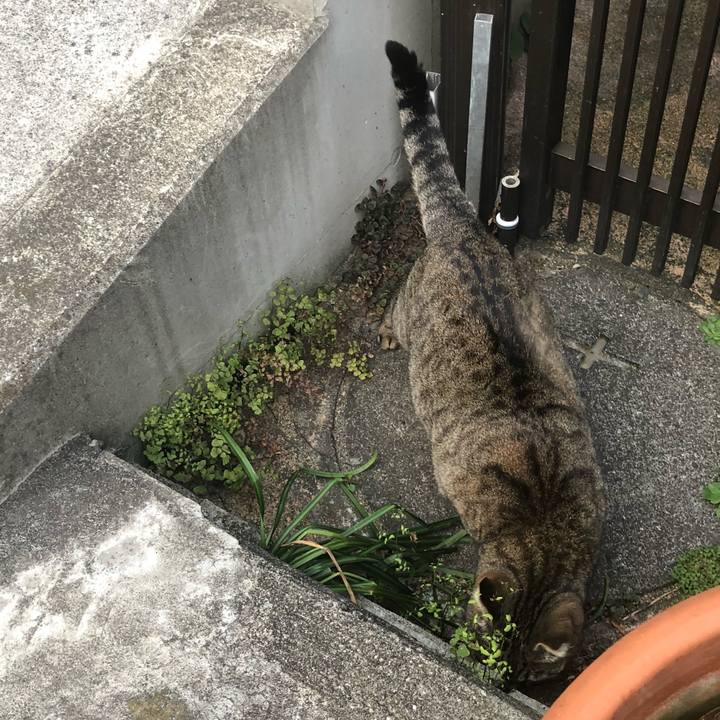 D2ff5425 430e 4944 84b0 d8f67cd6077f 1522056597838