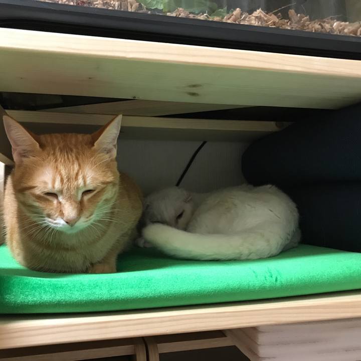 D2ff87b4 f4a7 4927 bf52 90331069716e 1508158982003