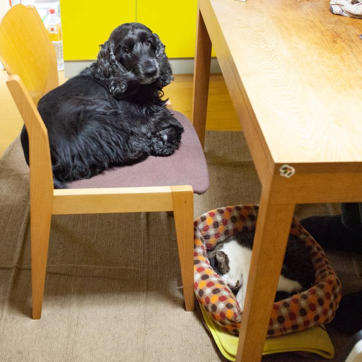 D2ffc286 5e56 41c7 9096 87370015a7d6 1549292444263