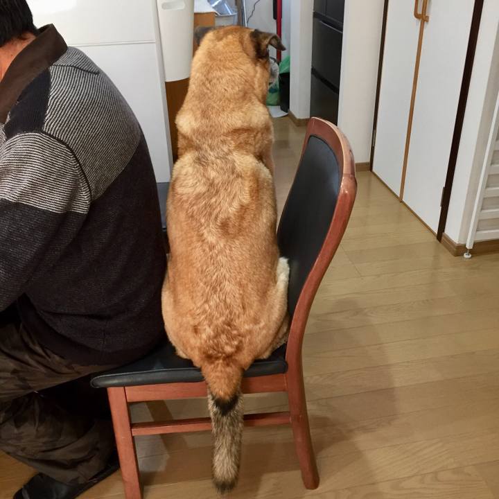 D2ffde8b 0f3b 49ff b481 97ed1e1d7ce4 1544931406319