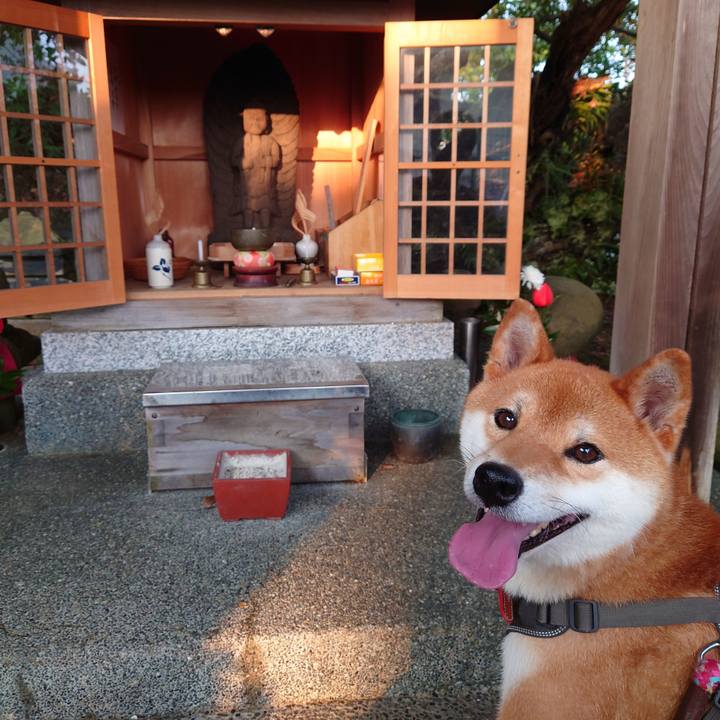 D300072a cae7 4f7b 9875 316a3bcd23df 1756124900024