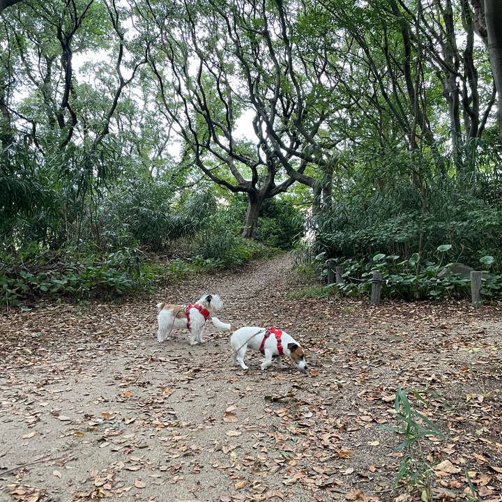 D300268f e36b 4a38 ab1c 5f476cd92529 1665099225276