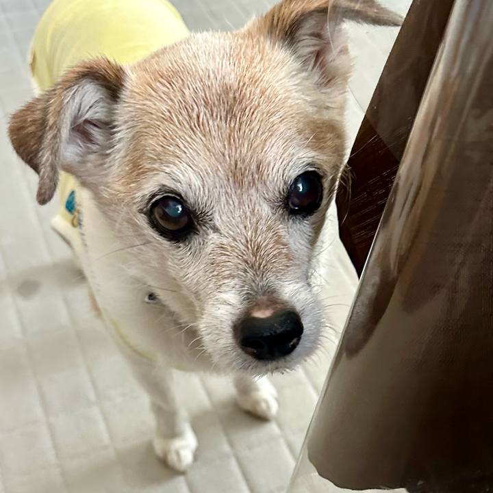 D3004095 0911 46a6 8cc5 9a74357305a8 1750215304317