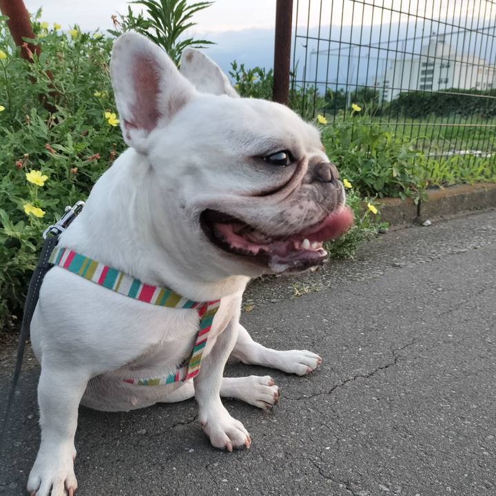 D30047d6 4045 453b b7ce 6be9fa41eae8 1687254945925