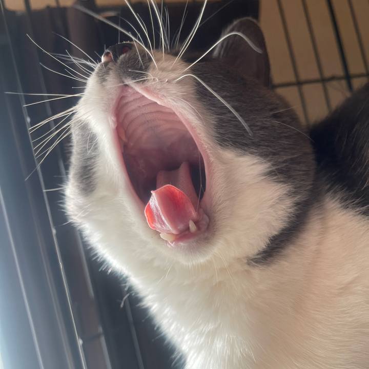 D30083f2 70a3 4a9c bae5 32e53cff3558 1732754470575