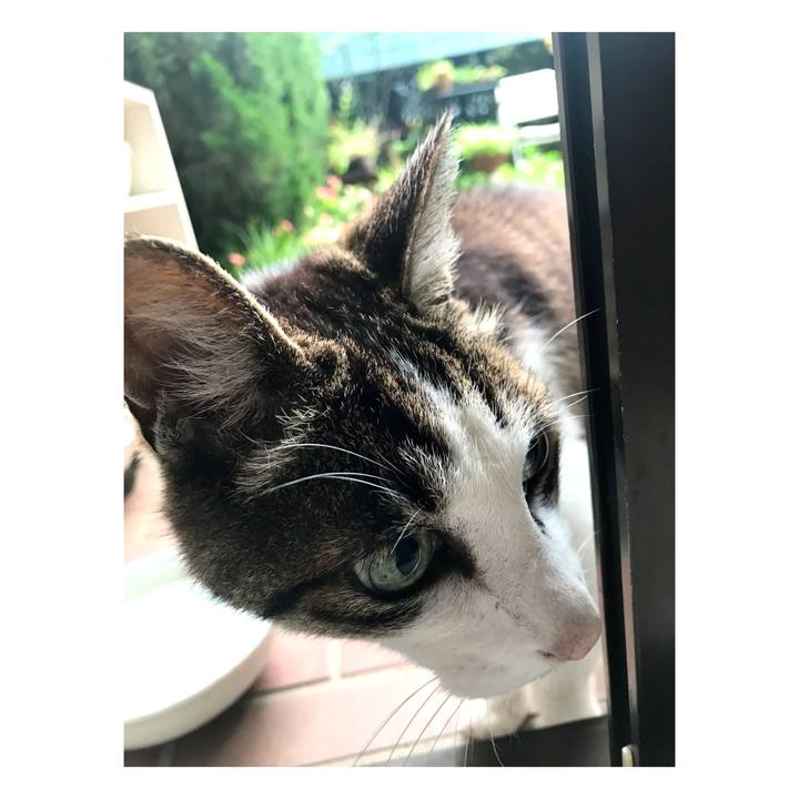 D3009793 143b 4f53 bff9 a3bbb70f58c8 1652765666797