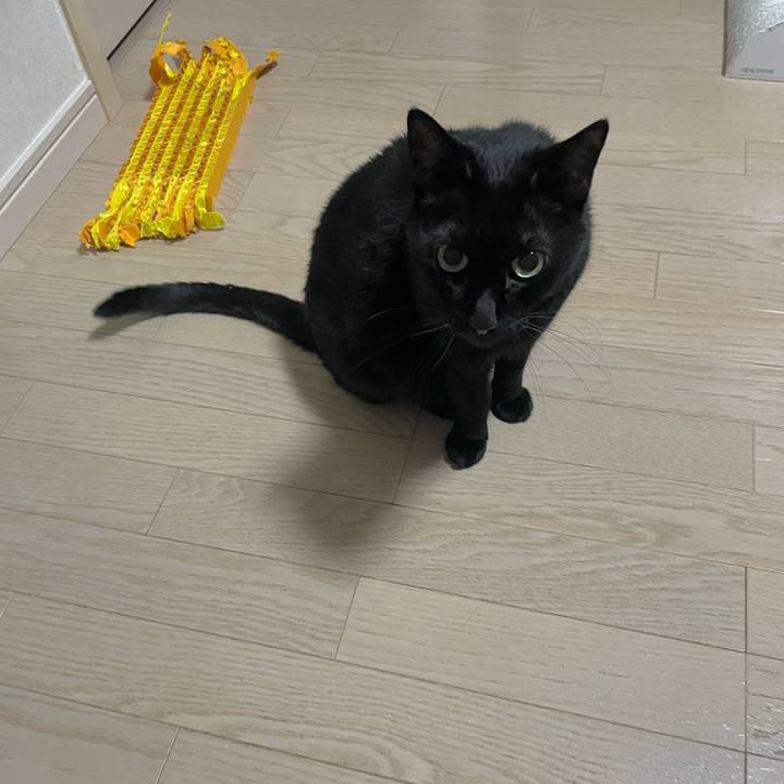 D300add6 87b5 4b90 860d b7b9340c21db 1748262941452