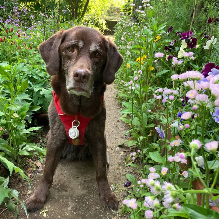 D3010757 30fc 40b8 b660 5df5fea0e1bd 1758603615787