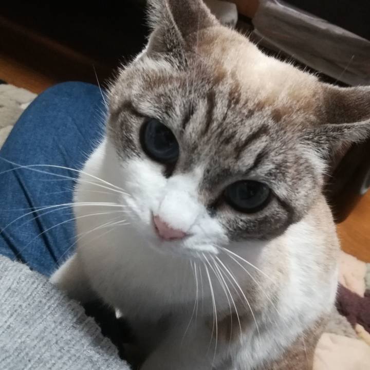 D3016991 a604 4512 9b8e 813ad7cea038 1549176055680