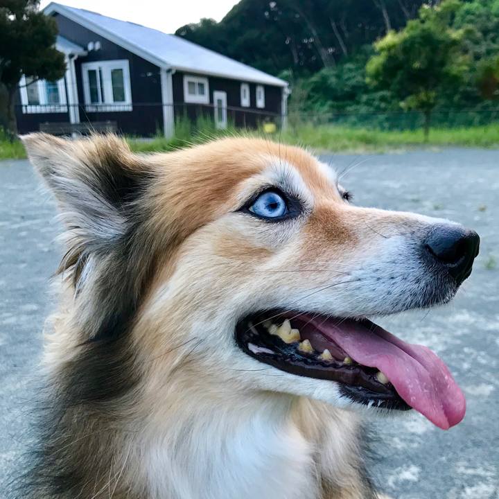 D3018cbd ba5e 4380 8ff5 2a334997ca90 1566207763853