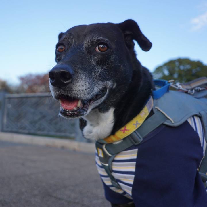 D301ac25 33f4 4550 885d 046d1e19f80b 1763599402876