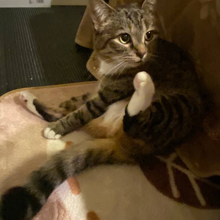 D301c71f 4aec 4bc2 8e6a c6ff8946a9e4 1584455884545