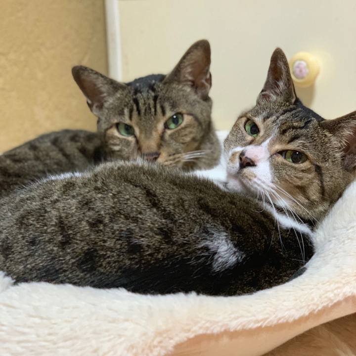 D301dc22 5dc8 4524 a821 726519683cb0 1556933708794