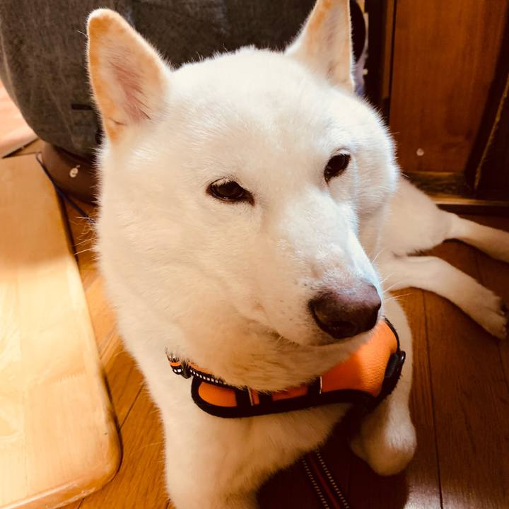 D3025c7a 8033 41ae ba6a 6af2b9f8fe67 1638665413749