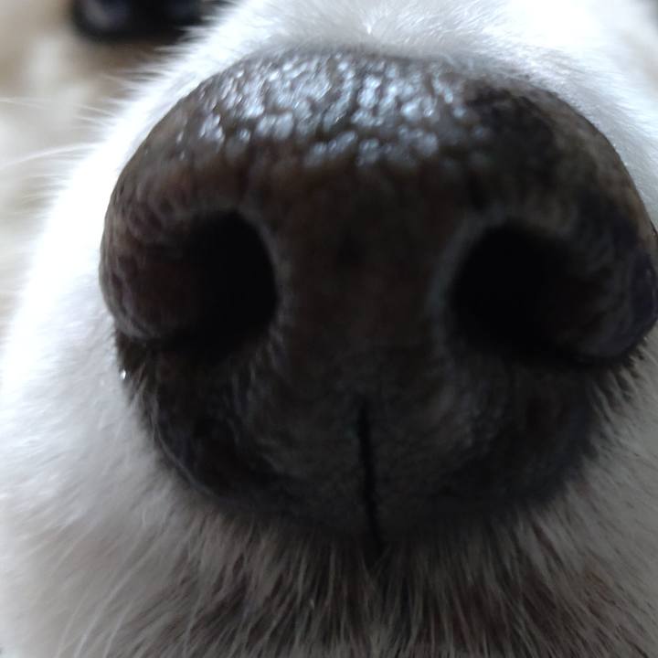 D3026011 0637 419a 8c07 a7544c85f8c3 1644368943834