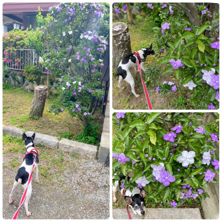 D3026233 cf2d 44f1 9410 c476198ea364 1589077391838