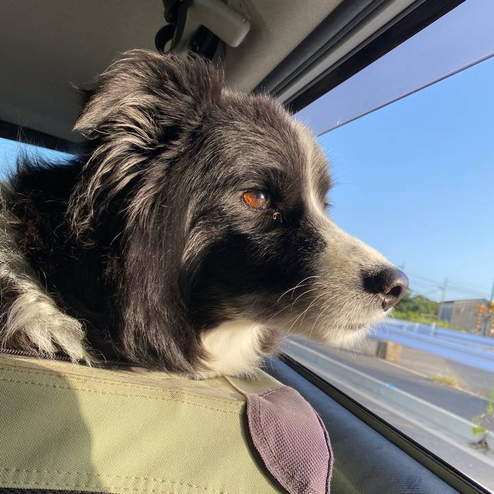 D30278f9 99b8 4ac9 802f 7d6c1ab166e2 1663625349709