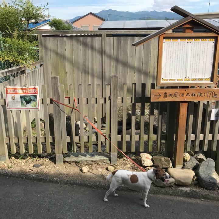 D30298bd 56ea 4b61 b8ea 9fc32edacd6f 1529269402150