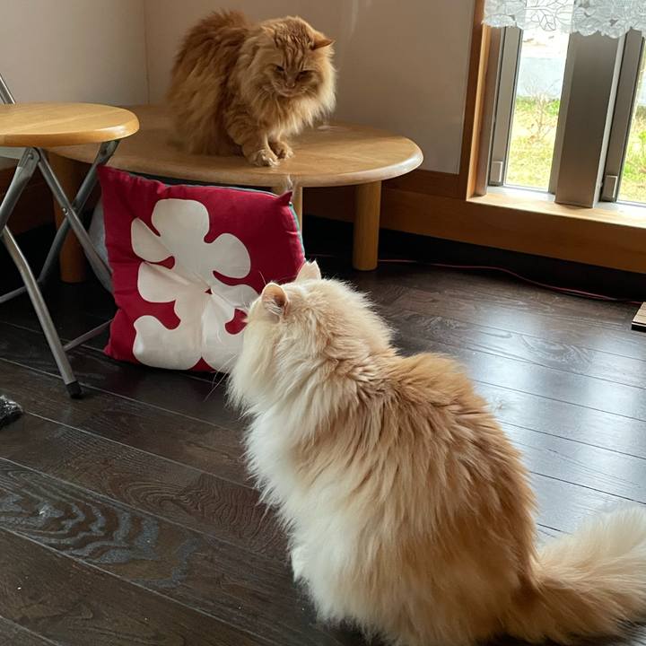 D302a25c bfc1 4b4b 8f51 0eb90dfce180 1747256869542