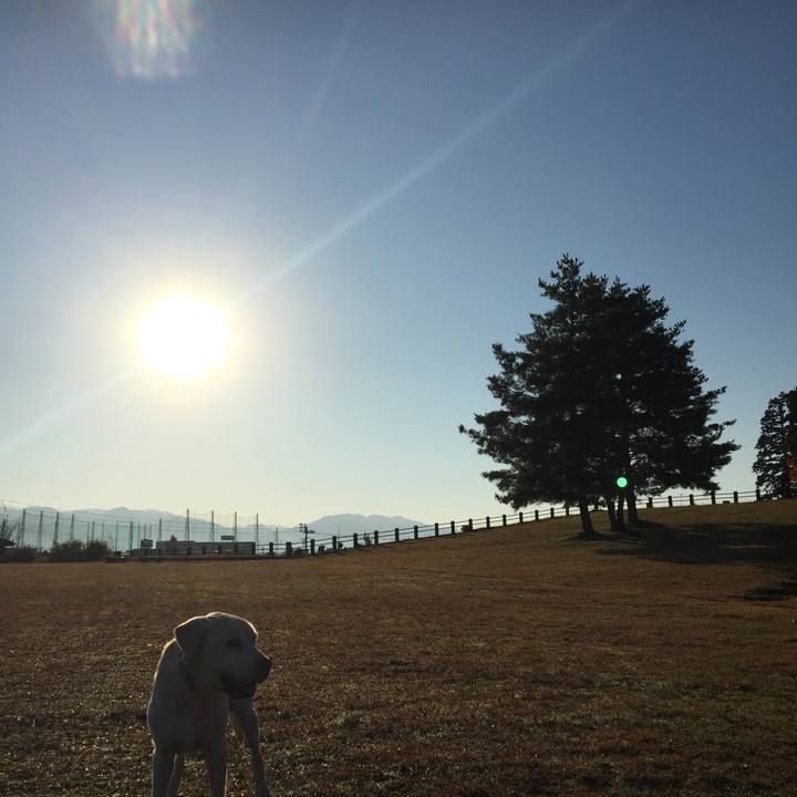 D302b066 1e66 466c b311 43c2cbdc13a2 1665932138221