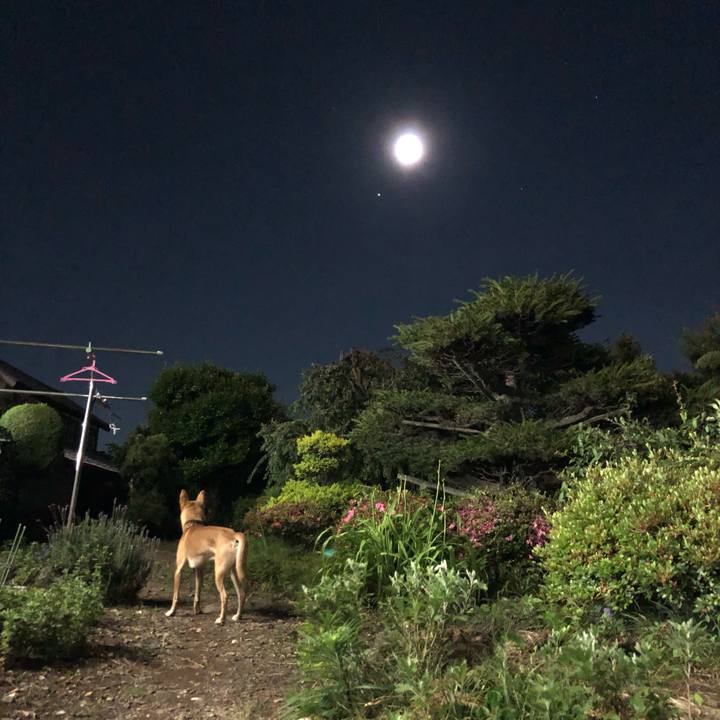 D302c428 2378 4f7f 9619 43a66f70fca1 1560686665720