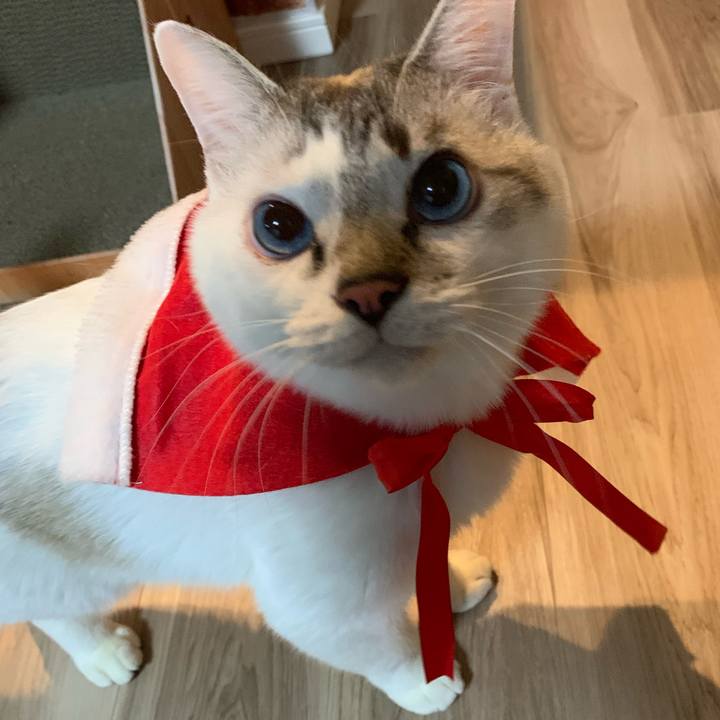 D302c643 b82b 4029 bda4 cda5ba5e49d2 1640338353903