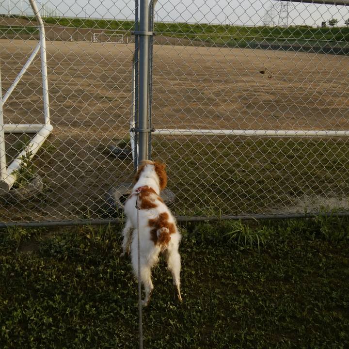 D302c727 a9b4 4304 86b6 7ae89377f6c6 1526386819393