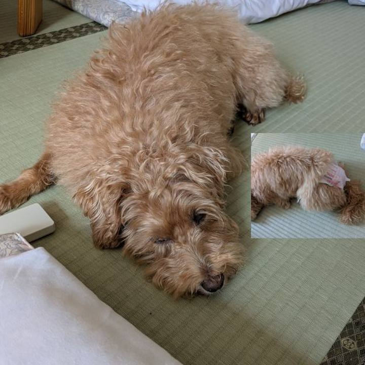 D302c894 6a6f 4892 bcfa c0abd28bce08 1759215459600