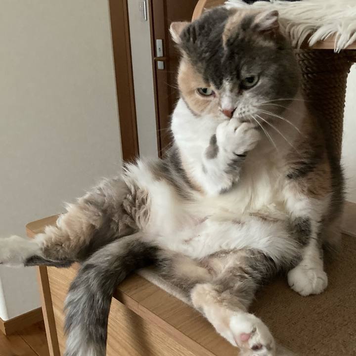 D302df07 dbbc 4537 8ded 9c6bdb49325f 1710932323568