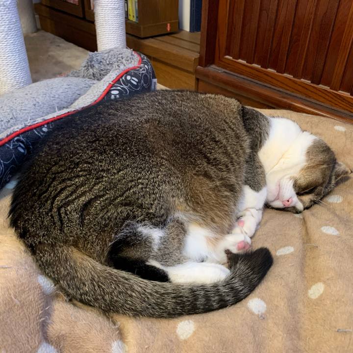 D3030659 4a78 4765 81ac 0cb6eb8ddb87 1677376891293