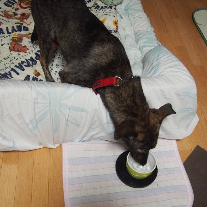 D303170f 69db 4511 b9ff 5f9334e1d229 1543231690996