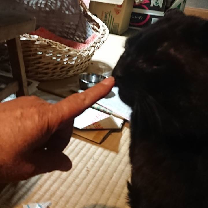 D3033862 fb2f 44ad 8421 7c8999eddc5f 1617016225311